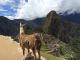 Southamerica.travel: Travel is our passion - reflected in our .travel domain name