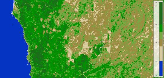 Lidar-Forst-12-NDVI-Farbabstufung.jpg