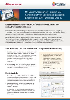 SAPB1-AccessNow.pdf