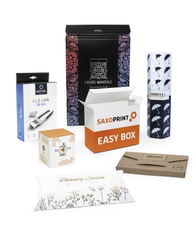SAXOPRINT® easy box_hoch © SAXOPRINT GmbH, 2018.jpg