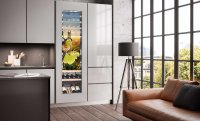 Transparente OLEDs für innovative Lösungen