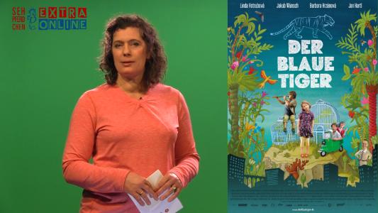 Führt ins Programm und gibt Anregungen für den Unterricht: Filmpädagogin Eva-Maria Schneider-Reuter (Quelle: Medienzentrum Region Hannover)
