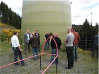 Windenergie im Wald gewinnt an Bedeutung