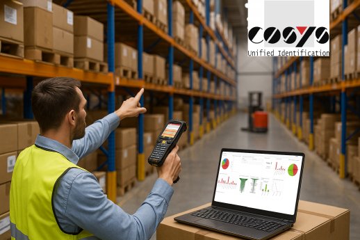 25_05_23_inventorymanagementwithcosys.png