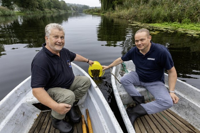 PM_WE25_25_Aalbesatz LAV + WEMAG in Schwaan_Foto 3 WEMAG Stephan Rudolph-Kramer_IMG_7596.jpg