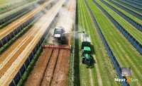 Gerstendrusch 2024 im Agri-Solarpark Donaueschingen.