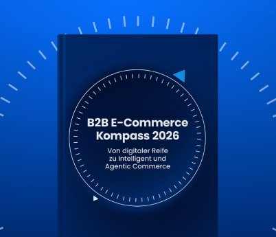 Der neue B2B Ecommerce Kompass.png