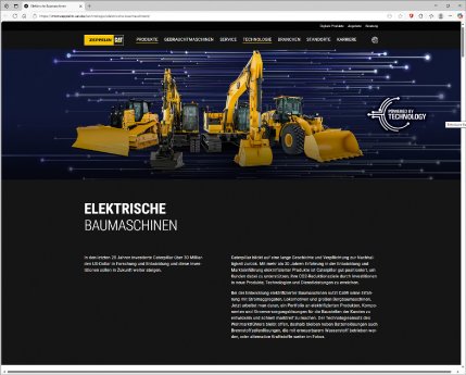 Zeppelin-Cat-Website-Bild1.jpg