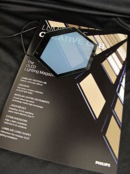 20120119_OLEDmoduleforCarRoofLightingConcept.jpg