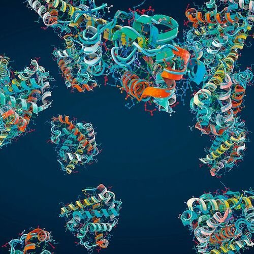 Mit Künstlicher Intelligenz Eiweiße entwickeln