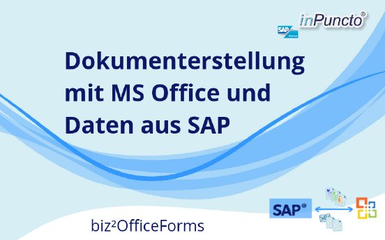 Dokumenterstellung SAP inPuncto.png