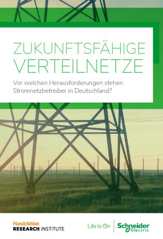 Deckblatt Verteilnetzstudie (1).png