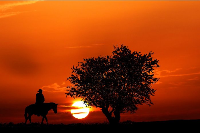 cowboy-sunset-5511638_1280.jpg