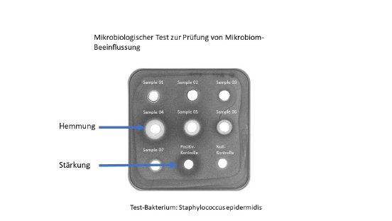 Test Hautcreme Mikrobiom.jpg