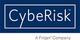 CybeRisk, ein führender Anbieter von Cyberisk & Security Beratungsleistungen und Lösungen, startet Geschäftstätigkeit in Deutschland