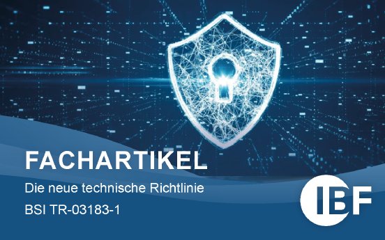 Fachartikel-BSI.png