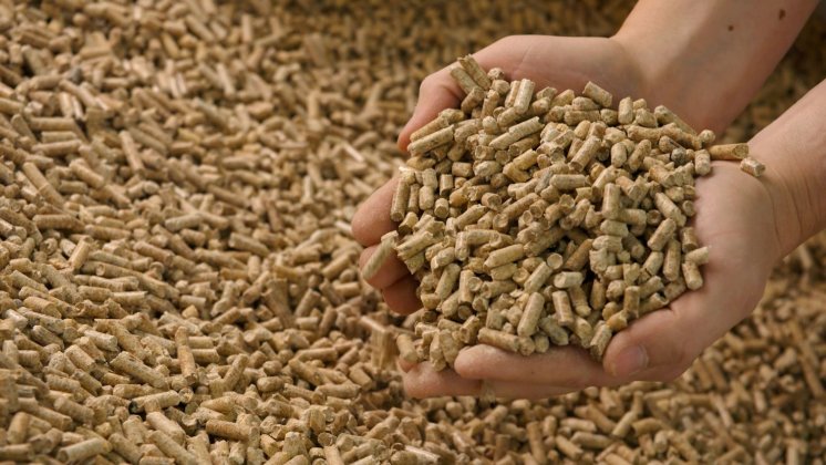 HAW_Pellets.jpg
