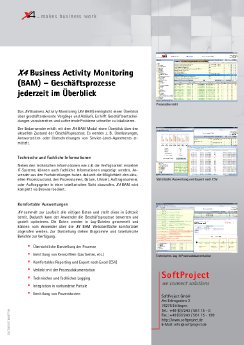 BAM_Business Activity Monitoring.pdf