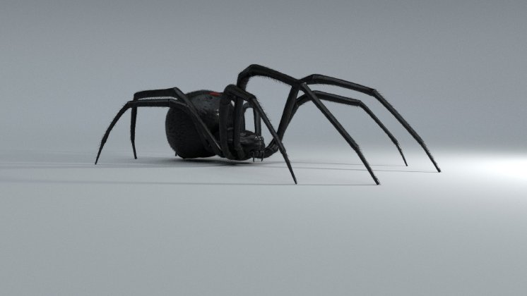 etienne-strauss-spider-05.jpg