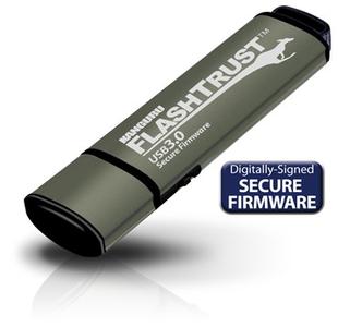 175-FlashTrustFacingLeftwShadowandReflectSecIcon.jpg