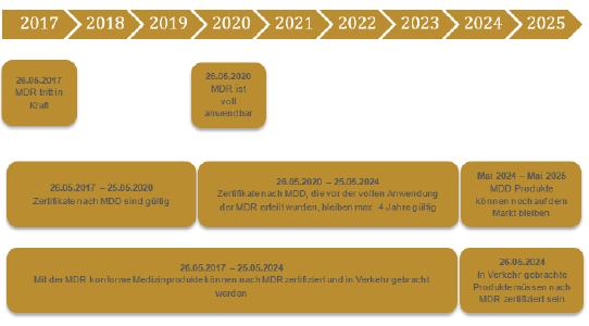 Timeline
