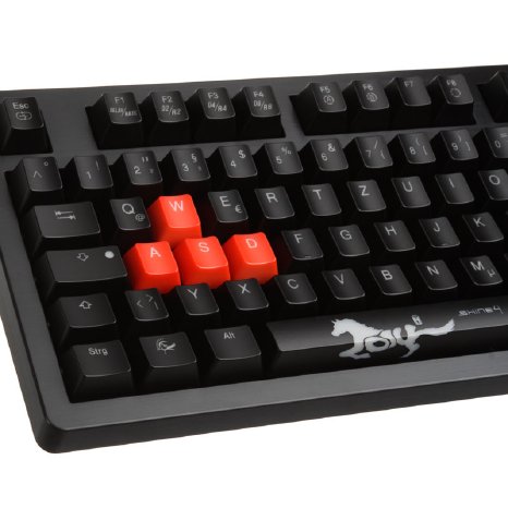 Ducky Shine 4 Gaming Tastatur blaue+rote LEDs - schwarz (7).jpg