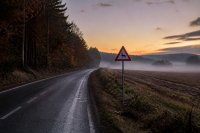 Wildunfälle im Herbst 2026: Der Deutsche Jagdverband zählt 200.970 Rehe als Fallwild im Jagdjahr 2024/25, die Schwarzwildstrecke stieg auf 568.497