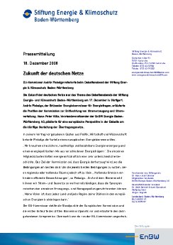 20081218_PM_Klima_Netze.pdf