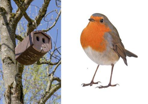 sgr_nisthilfen_rotkehlchen.jpg
