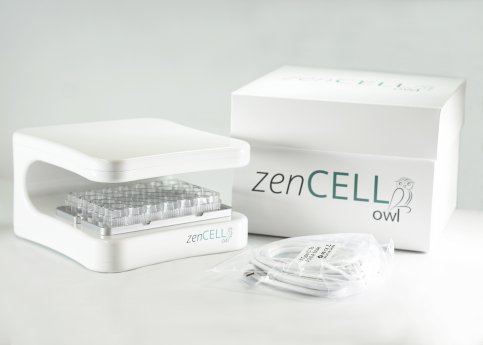 zenCELL_owl_20190221__19_.jpg