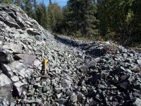 Long live battery metals – even in Duckburg, people are now driving electric cars