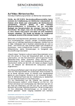 2016_12_09 PM Bärtierchen.pdf