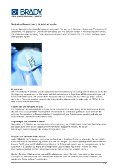 CDE_BRADY-LAB-PHASE-II.pdf