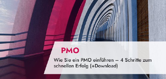 xHeader_PMO-Berichte_-Beispiele-fuer-Projekt-und-Portfoliomanagement-Berichte.png.pagespeed.ic.J.png