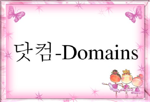 com-domain in Korean.png