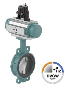 GEMÜ R481 Victoria.jpg