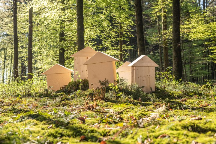 best wood SCHNEIDER ist jetzt Mitglied bei "HOLZ VON HIER"
