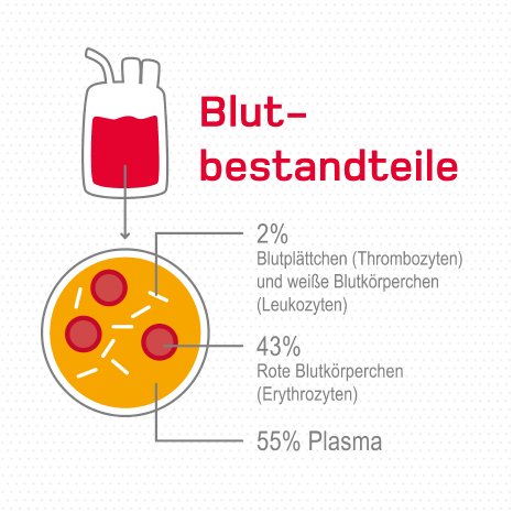 digital-2021-infografik-1080x1080px-bestandteile-blut-konserve-haema.png