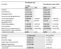 Zusammenfassung der Finanzergebnisse