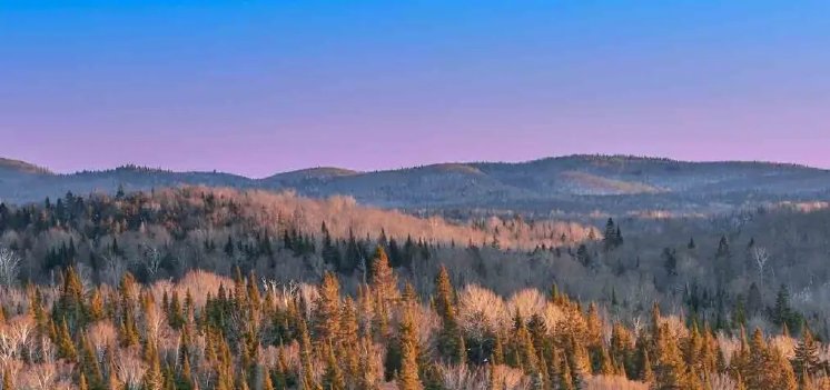 Abitibi-Metals-B26-2-Goldinvest.jpg