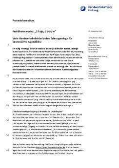 PM 29_24 Praktikumswochen BW Herbst.pdf