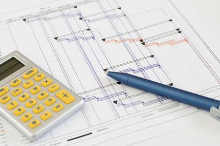 Investitionscontrolling mit SAP