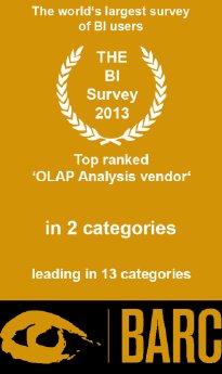 BARC BI Survey 2013 - Top Ranked.png