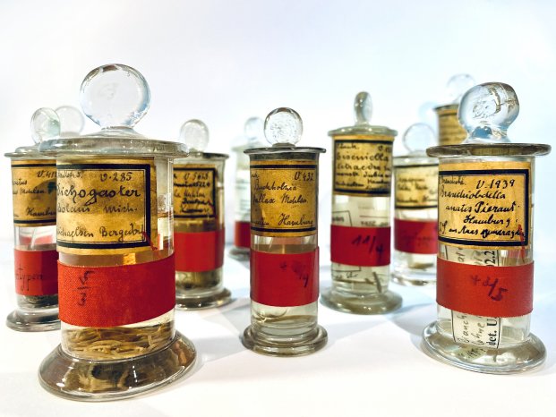 Abb. 1_PM Typusgenomik.jpeg