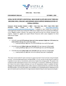 01102024_EN_VZLA_Vizsla Silver Copala Main_final.pdf