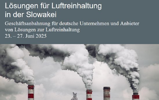 Screenshot_2025-02-11_at_08-10-26_Infoletter_GA_Slowakei_Luftreinhaltung_2025.pdf.png