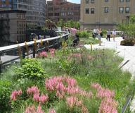 Auf der stillgelegten Bahntrasse „High Line“ entstand New Yorks neue Sehenswürdigkeit – dank ZinCo-Dachbegrünung.