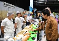 Verkostung am Stand der Ernst-Benary-Schule