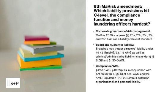 9-marisk-amendment-which-liability-standards-hit-c-level-v0-qt7d5oa23uah1.webp