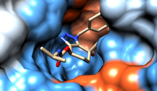 Protein-Inhibitor-Complex.jpg